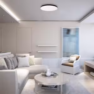 Obrazek Plafon Sierra Black EK77850 10W SK PL1