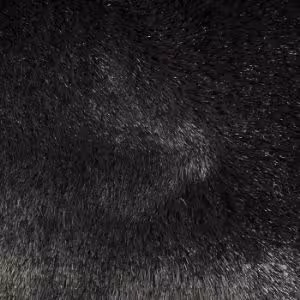 Obrazek  Dywan Timmy F 0.8/1.5 Tfc9 czarny 