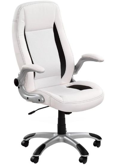 Obrazek Fotel gabinetowy Starun biały