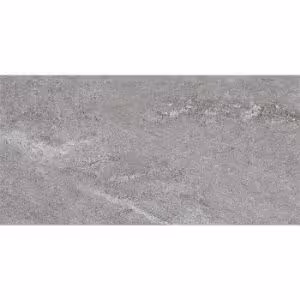 Obrazek Gres Tierra Grey 30/60