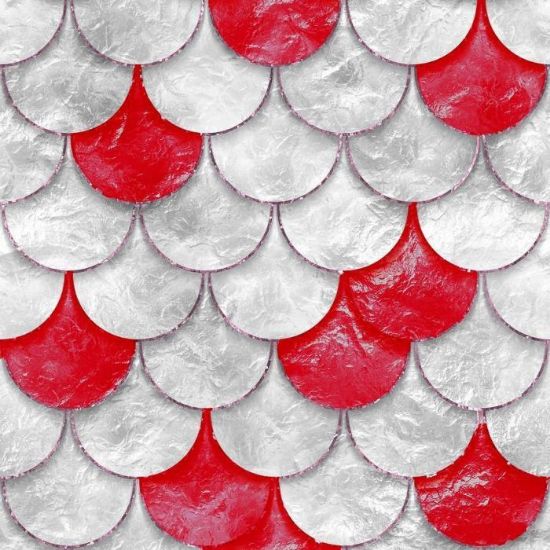 Obrazek Panel szklany 60/60 Dragon Red Esg