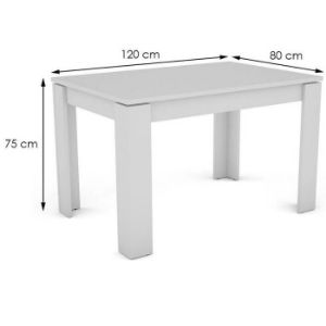 Obrazek Stół Inter 120(160)X80X75CM biały 618509