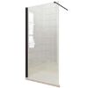Obrazek Ścianka WALK-IN Fiord 120x195 czarny profil