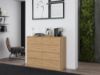 Obrazek Komoda Umo P8 120 (dąb artisan)
