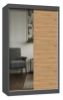 Obrazek Szafa Sabina S 120 z lustrem dąb artisan/antracyt
