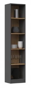 Obrazek Regał Basic 40 (antracyt/dąb artisan)