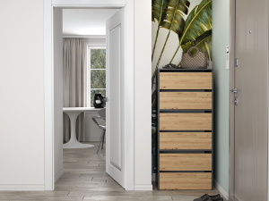 Obrazek Szafka na buty Pelagia antracyt/dąb artisan