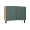 Obrazek Komoda Jula 2S zielony/dąb artisan