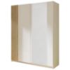 Obrazek Szafa Daster III 12 biały/dąb