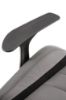 Obrazek Fotel gabinetowy Spider  popiel/czarny