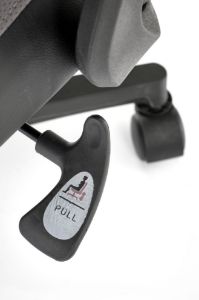 Obrazek Fotel gabinetowy Chrons popielaty/czarny