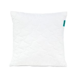 Obrazek Poduszka Aloe vera 40X40