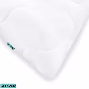 Obrazek Poduszka Aloe vera 40X40