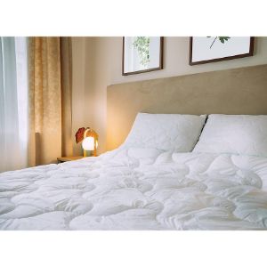 Obrazek Poduszka Aloe vera 40X40