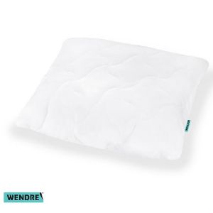 Obrazek Poduszka Aloe vera 50X60