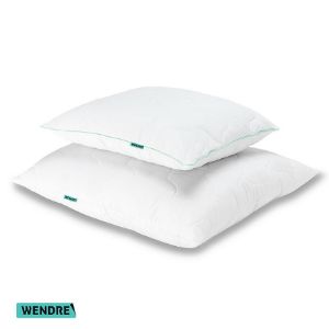 Obrazek Poduszka Aloe vera 50X60