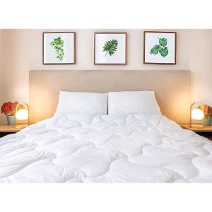 Obrazek Poduszka Aloe vera 50X60