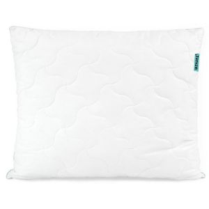 Obrazek Poduszka Aloe vera 70X80