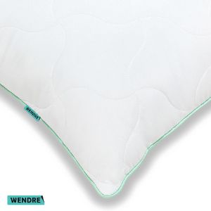 Obrazek Poduszka Aloe vera 70X80