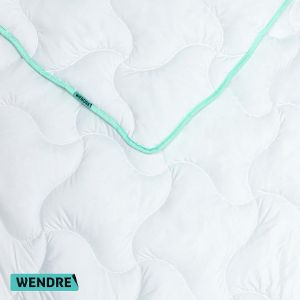 Obrazek Kołdra Aloe vera 155X200