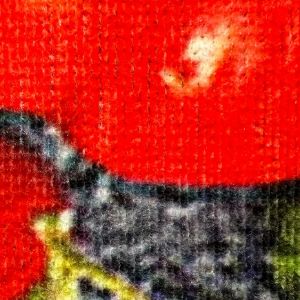 Obrazek Dywan Print Pera Cherie 0,8/3,0 05023(01)