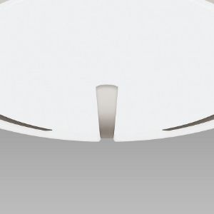 Obrazek Lampa FALON LED C 24W NW 04099 PL1