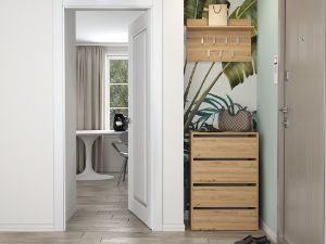 Obrazek Szafka na buty Pelagia 2 dąb artisan