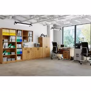 Obrazek Nadstawka Otwarta Malta Dąb Artisan Typ 113