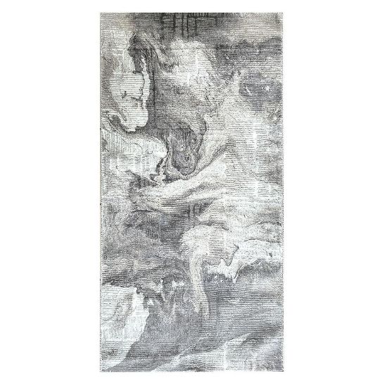 Obrazek Dywan Emporio 1,6/2,3 4327A BOS OF 36 szary