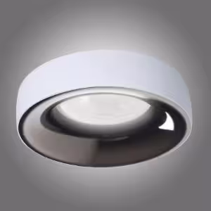 Obrazek Oprawa Elnis L W/A 27805