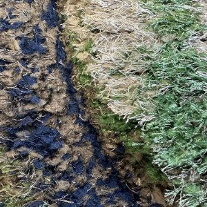 Obrazek Dywan Shaggy 3D Dominica 1,6/2,3 P768A BOS AP 53 zielony