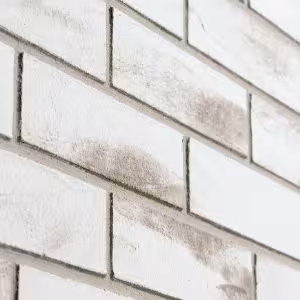 Obrazek Elastyczny Klinkier Mineralny Sevilla