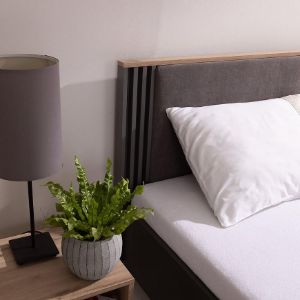 Obrazek Szafka nocna Allmo AL20 dąb estana jasny/antracyt