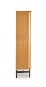 Obrazek Regał Saon 2 dąb naturalny/czarny