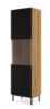 Obrazek Witryna Jack 1D1S dąb artisan/czarny rama