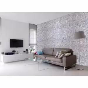 Obrazek Kamień Naturalny Arktika