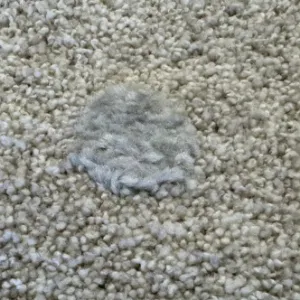 Obrazek Dywan Elio Kids 0,8/1,5 2307 260 kremowy