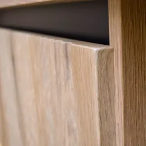 Obrazek Szafka RTV Osaka 312 2S dąb evoke