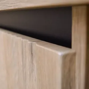 Obrazek Szafka RTV Osaka 312 2S dąb evoke