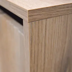 Obrazek Szafka RTV Osaka 312 2S dąb evoke