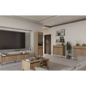 Obrazek Szafka RTV Osaka 303 2S dąb evoke