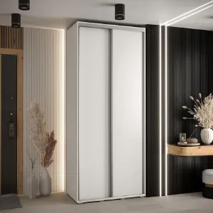 Obrazek Szafa 45 Canaris 1 100 biały/silver