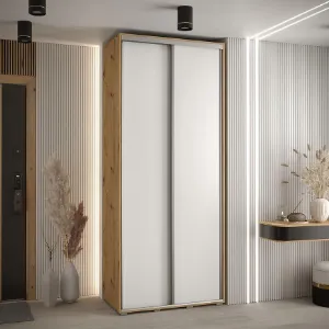 Obrazek Szafa 45 Canaris 1 110 artisan/biały/silver