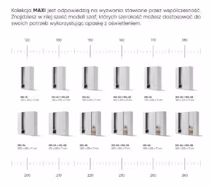 Obrazek Szafa przesuwna Maxi MX-06 z lustrem 250 cm biały