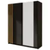 Obrazek Szafa Daster III 12 czarny/dąb