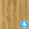 Obrazek Panele podłogowe Dąb Alodia 10mm AC5 Bella Aqua Block 24h 40634