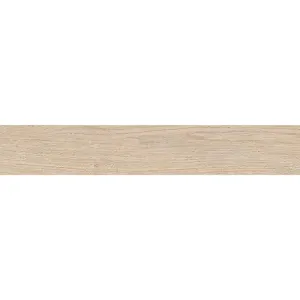 Obrazek Gres Ainsa 26/159,5