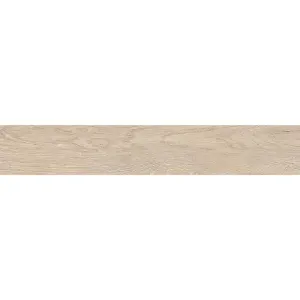 Obrazek Gres Ainsa 26/159,5
