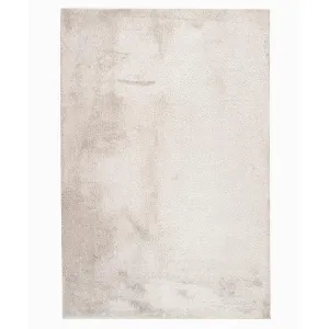 Obrazek Dywan Shaggy Teddy Rug 0,6/0,9 srebrny