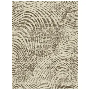 Obrazek Dywan New Shiraz 1,2/1,7 2001 4067 S44